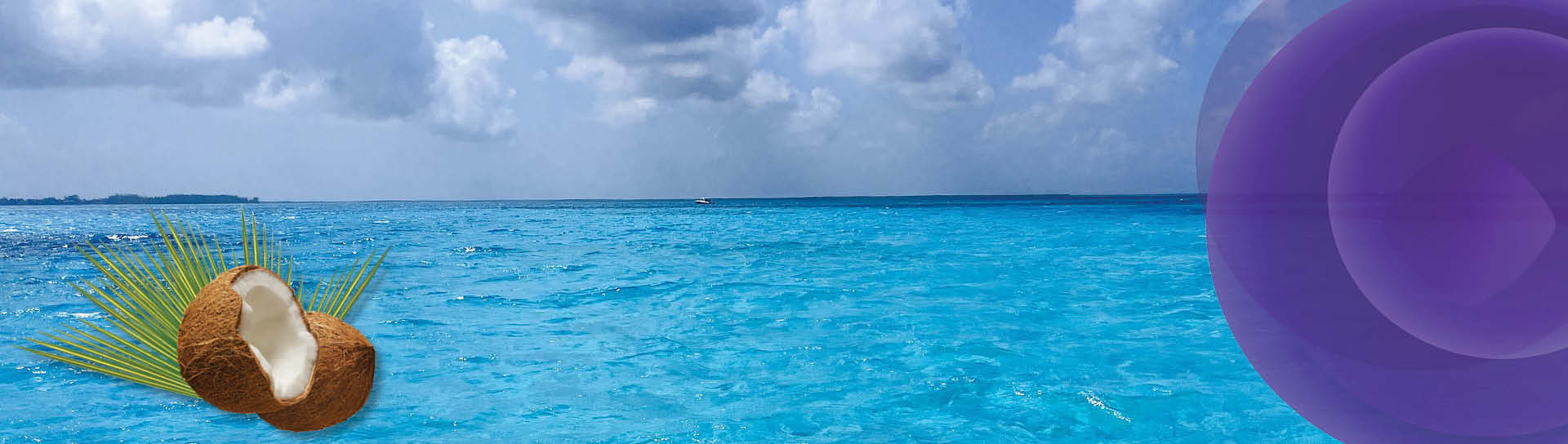 Discover the Caribbean