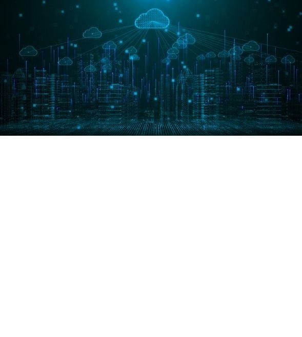 insight featured image